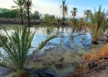 خمیر؛ بندری تماشایی
