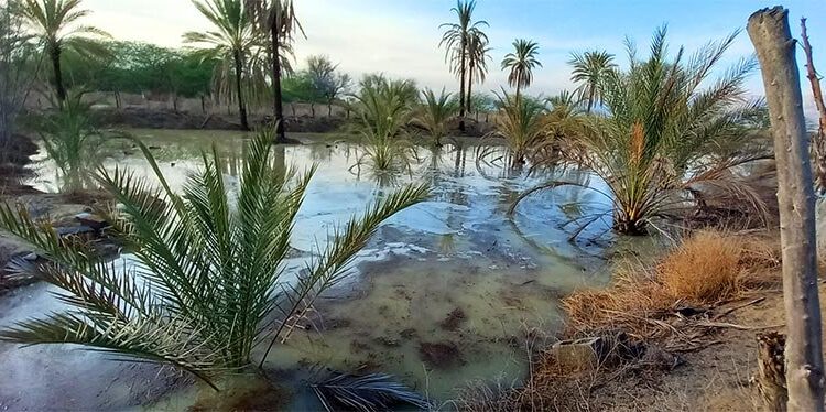 خمیر؛ بندری تماشایی