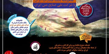 بانک صادرات ایران شریک استراتژیک جدید شرکت ملی صنایع مس ایران (+ایفوگرافیک)