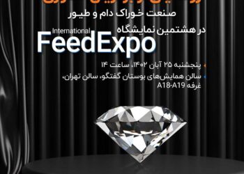 حدس و گمان های پیرامون شرکت صاشکو