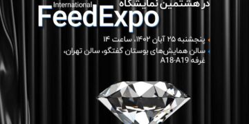 حدس و گمان های پیرامون شرکت صاشکو